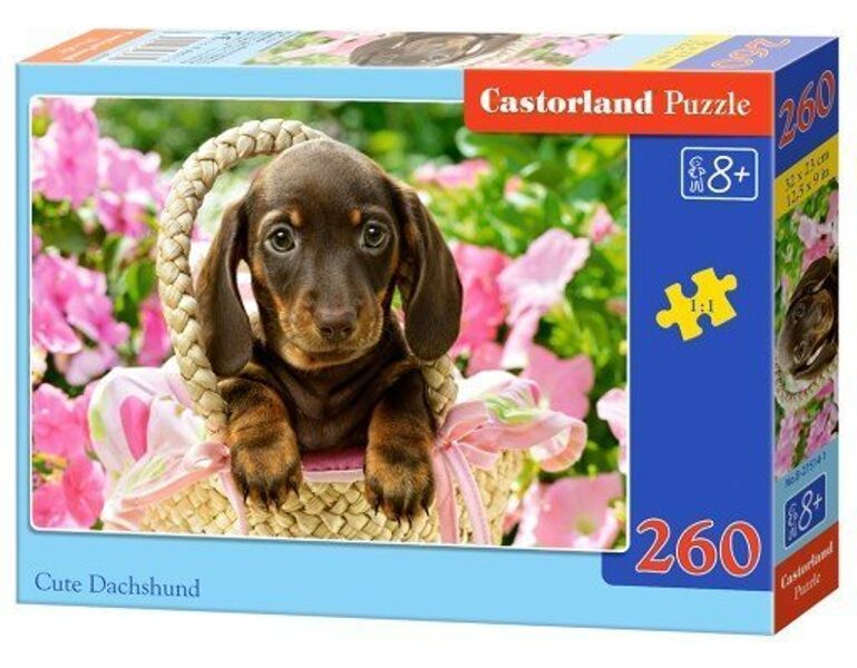 Puzzle with 260 cubes 32x23 cm
