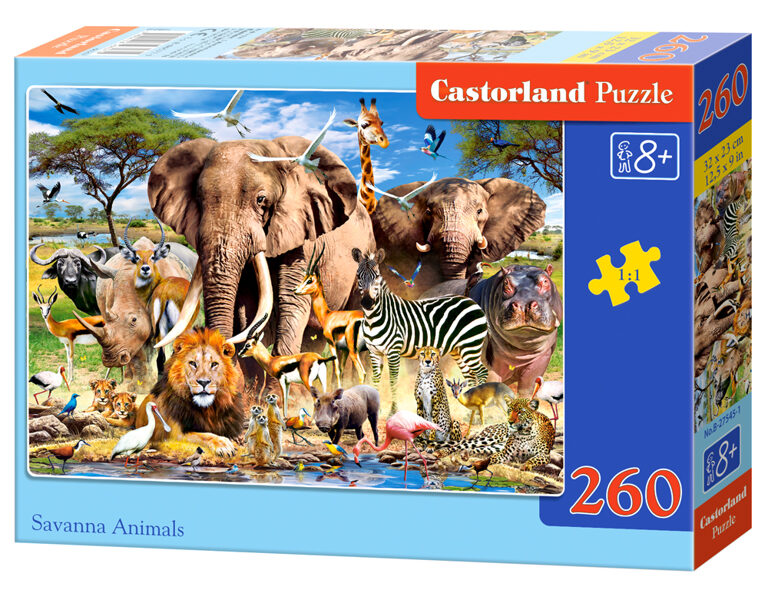 Puzzle with 260 cubes 32x23 cm